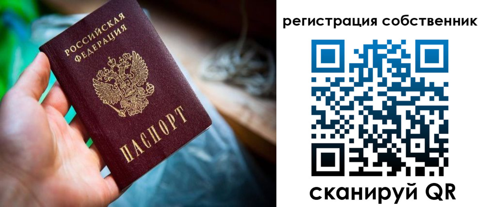 прописка гарантия в Амурске